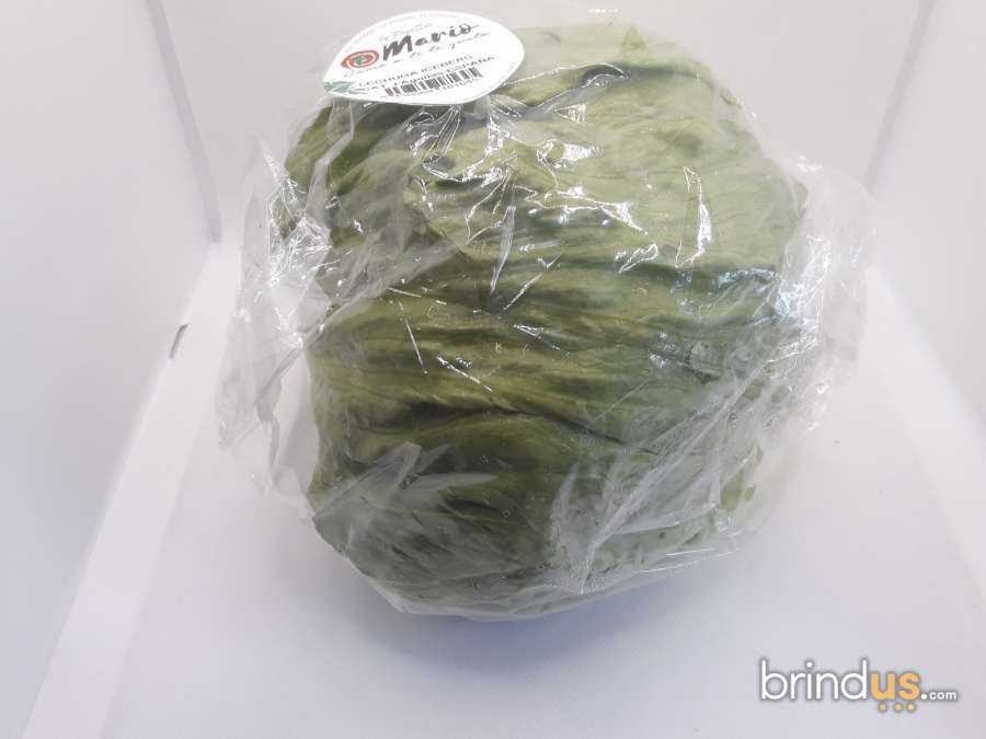 Lechuga Iceberg