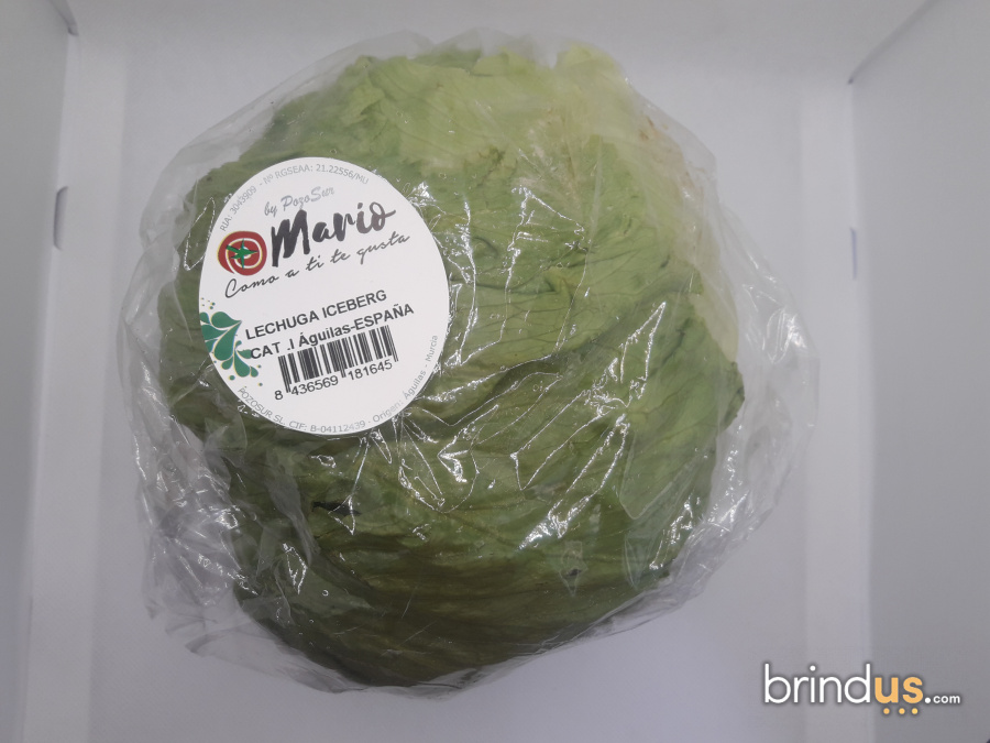 Lechuga Iceberg